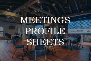 Meeting Profile Sheet