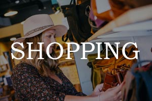 Shopping Guides