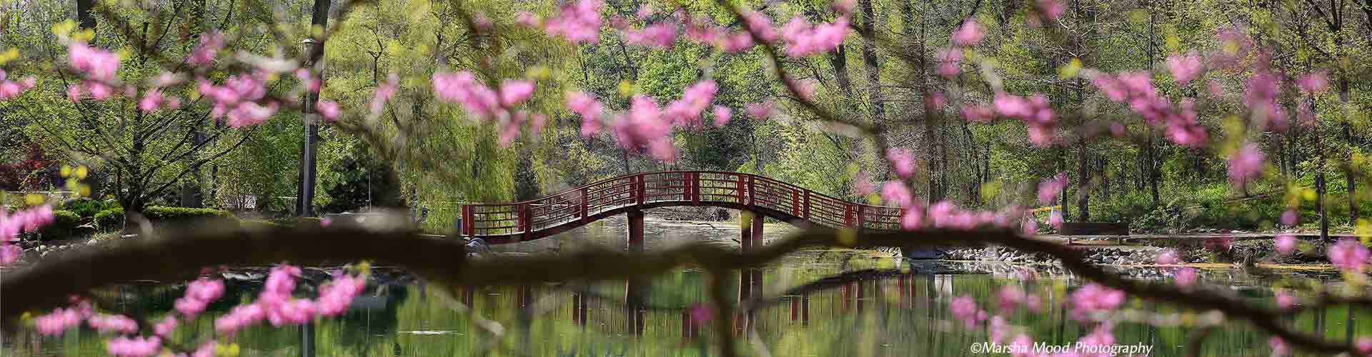 AWARD WINNING BOTANICAL GARDEN